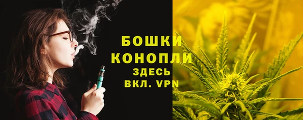мдпв Бугульма