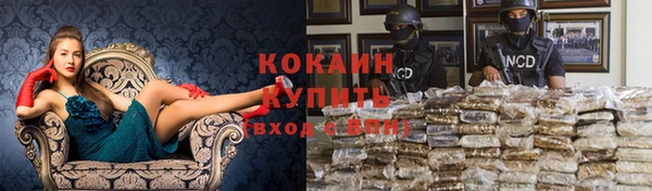 дурь Сосновый Бор