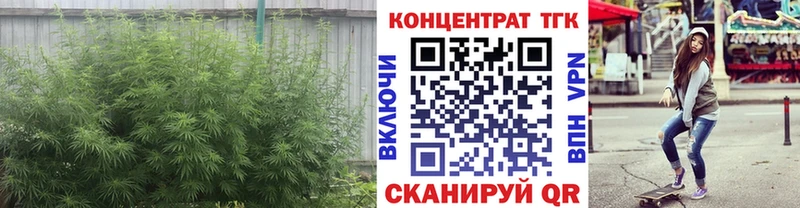 ТГК THC oil  Можайск 