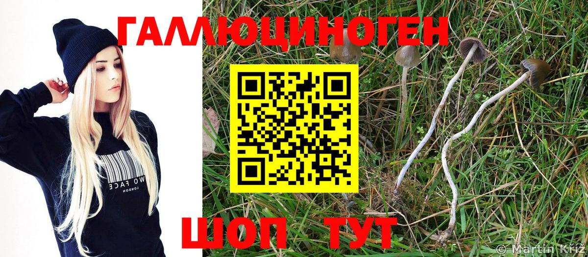 Галлюциногенные грибы прущие грибы Можайск